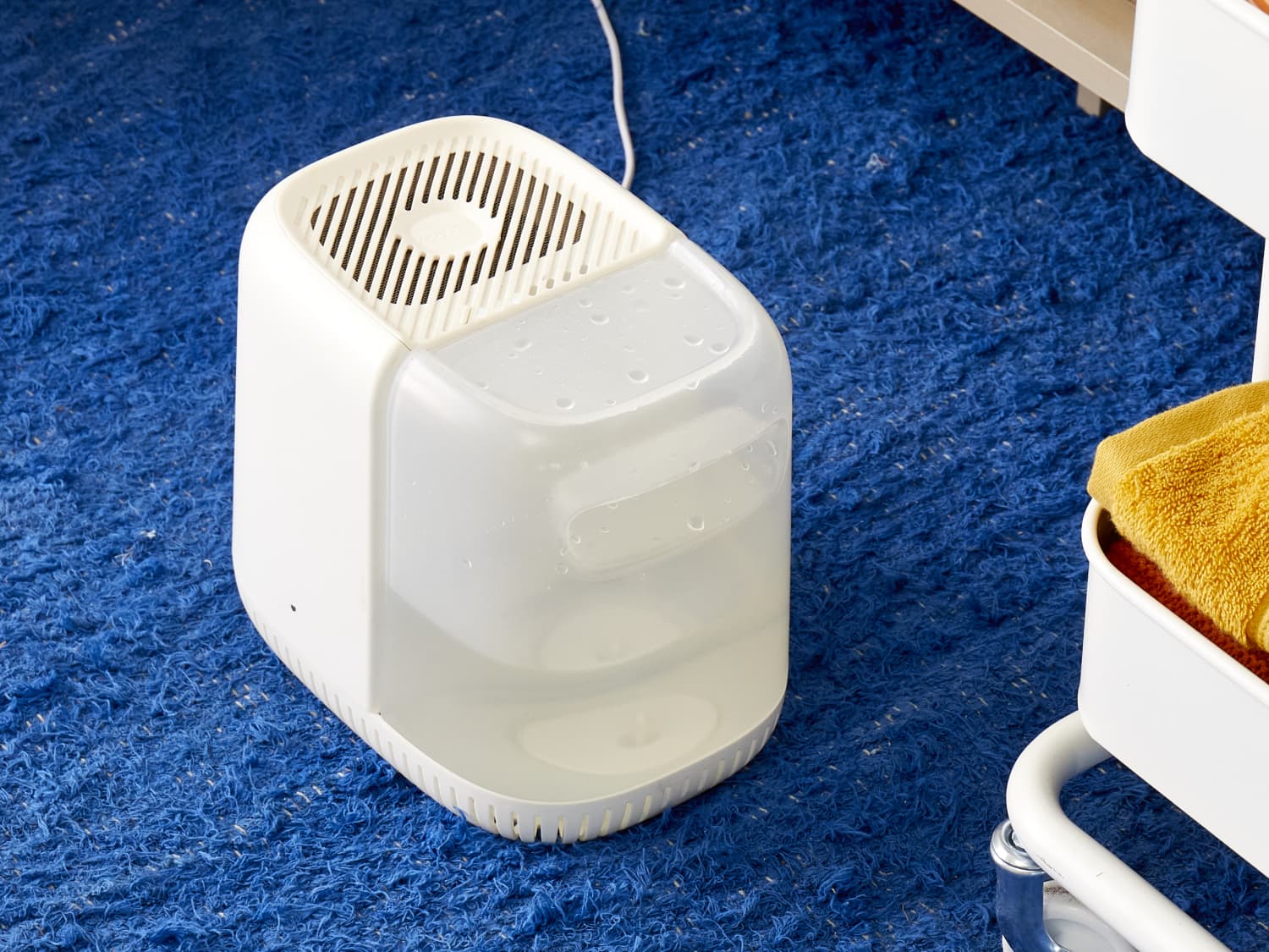 Cleaning humidifier store with vinegar